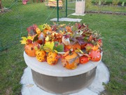 Veselé dýňování s rodiči